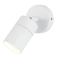 Kenn 1 Light Adjustable Outdoor Wall Light - White
