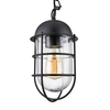 Kitron 1 Light Cage Ceiling Pendant - Black