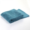 Luxury Micro Fleece - Teal