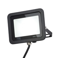 Mears Outdoor LED 30 Watt Slimline Wired Flood Light - Black