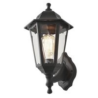 Neri Outdoor Polycarbonate Wall Lantern - Black