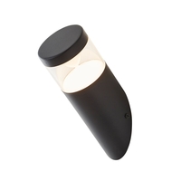 Nura 1 Light Angled Outdoor Wall Light - Black