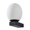Ovo 1 Light Bathroom Wall Light - Black