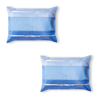 Pack of 2 Chicago Cushions - Blue