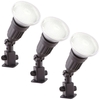 Pack of 3 Outdoor Garden Spike Lights with Free PAR38 Light Bulbs - Black