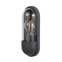 Pildora Outdoor Wall Light - Anthracite