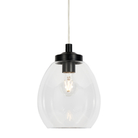 Quincy Clear Glass Bathroom Ceiling Pendant - Satin Black