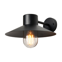 Randall 1 Light Outdoor Wall Lantern - Black