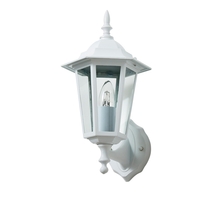 Thera Traditional Outdoor Wall Light - White