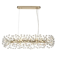 Visconte Scoppio de Stelle 10 Light Oblong Crystal Ceiling Pendant - Gold