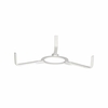 White Lamp Shade Spider