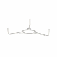 White Lamp Shade Spider