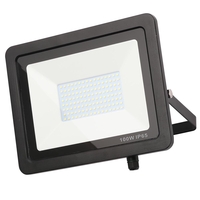 Yarm Outdoor LED 100 Watt Slimline Flood Light - Black