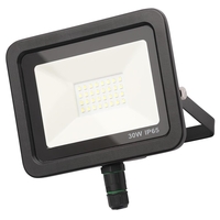 Yarm Outdoor LED 30 Watt Slimline Flood Light - Black