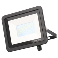 Yarm Outdoor LED 50 Watt Slimline Flood Light - Black