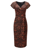 Alluring Lace Dress