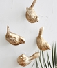 Beautiful Bird Wall Hooks