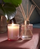 Blush Candle And Diffuser Set