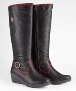 Distinctive Wedge Boots