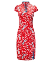 Elegant Mandarin Collar Dress