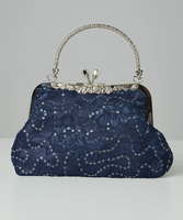 Moonlit Lace Bag