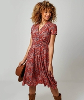 Perfect Paisley Dress