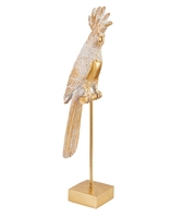 Perfect Parrot Deco