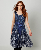 Ravishing Ribbon Dress