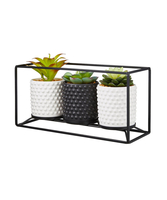 Set Of 3 Succulent Pots On Stand