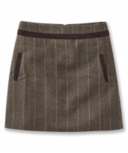 Super Smart Skirt