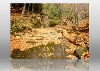 Personalised Autumn Leaves Print