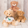 Personalised Bear With T-Shirt - Dinosaur