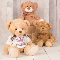 Personalised Bear With T-Shirt - Princess
