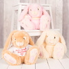 Personalised Bunny With T-Shirt - Let