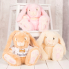 Personalised Bunny With T-Shirt - Prince