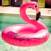 Pink Flamingo Inflatable Pool Float