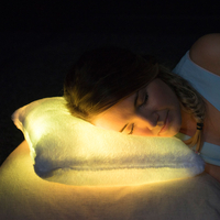 Remote Control Moonlight Cushion