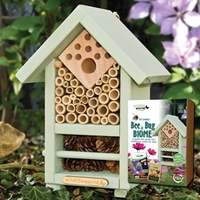 Bee & Bug Biome + FREE Seeds & Bee Guide