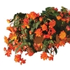 Begonia Apricot Sparkle Trailing Mix 1 Pre Planted Trough