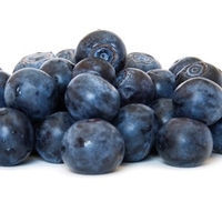 Blueberries 3 Plants 9cm Pot