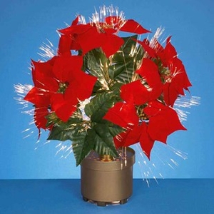 Fibre Optic Poinsettia