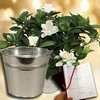 Gardenia Plant with Metal Planter Plus Diary