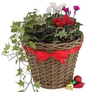 Gift 1 Christmas Willow Basket
