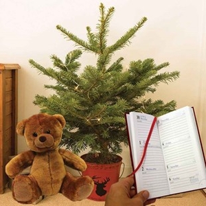 Gift Christmas LED Tree with Red Pot Diary and Teddy