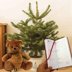 Gift Christmas LED Tree with White Pot Diary and Teddy