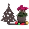 Gift Christmas Tree Silhouette Pot with Cyclamen
