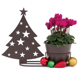 Gift Christmas Tree Silhouette Pot with Cyclamen