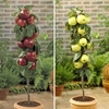Golden Delicious & Braeburn 2 Patio Apple Trees