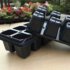 Grow on Tray x 56 with 12 cells each