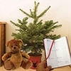 Home Christmas LED Tree with Red Pot Diary and Teddy